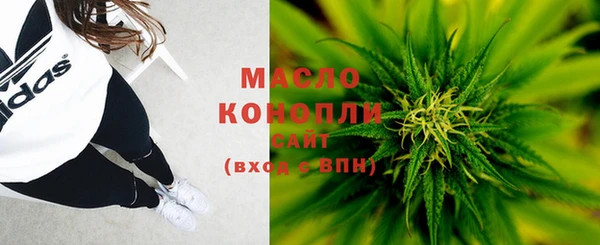 дживик Слюдянка