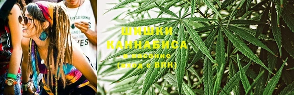 дживик Слюдянка