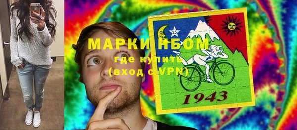 дживик Слюдянка