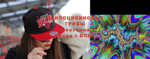 дживик Слюдянка
