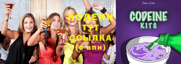 дживик Слюдянка